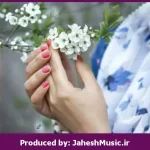 دانلود آهنگ روشنه تکلیف دا دا دا داشی “ریمیکس رپی خفن” از نوید زردی و مهراد هیدن و رضا پیشرو و پوری